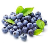 有机蓝莓
